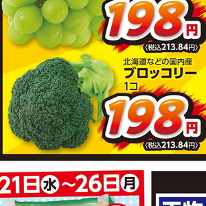 ブロッコリー