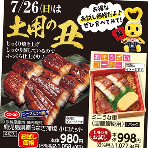 うなぎの蒲焼き