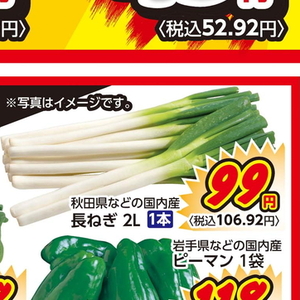 ながねぎ