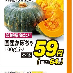 かぼちゃ