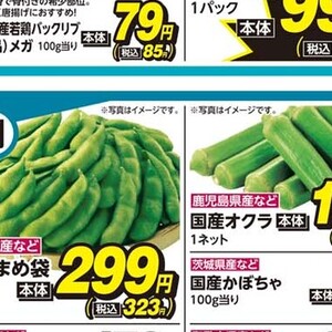 鶏手羽元