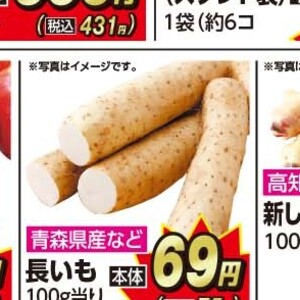 ながいも