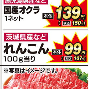 レンコン