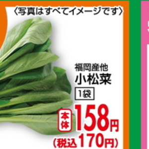 こまつ菜