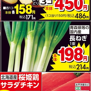 ながねぎ
