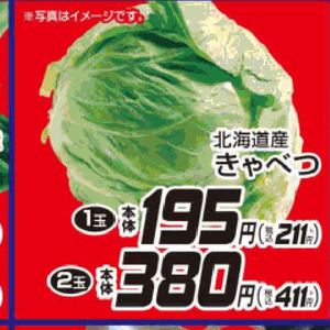 きゃべつ