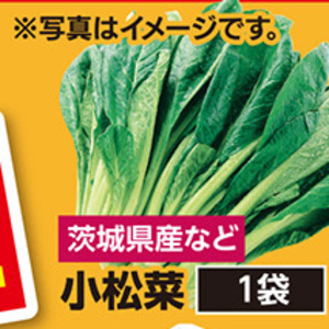 こまつ菜