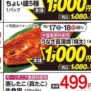 うなぎの蒲焼き