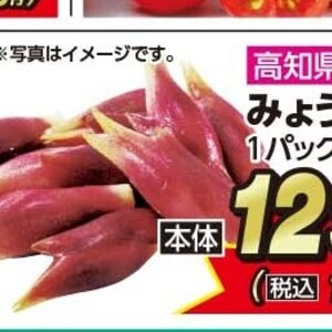 みょうが