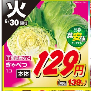 きゃべつ