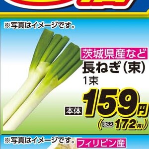 ながねぎ