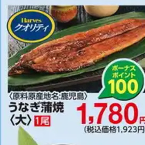 うなぎの蒲焼き