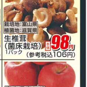 しいたけ
