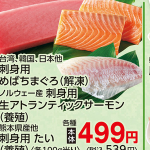 まぐろ（刺身）