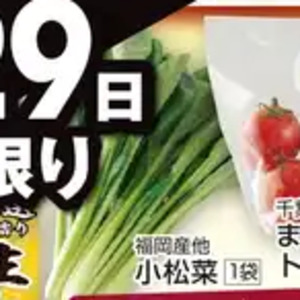 こまつ菜