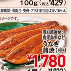 うなぎの蒲焼き