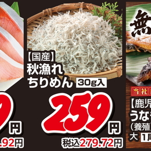 しらす