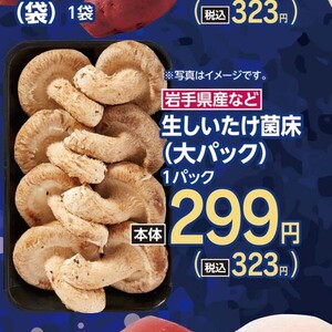 しいたけ
