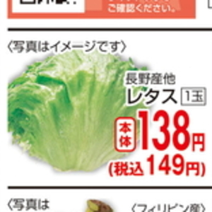 レタス