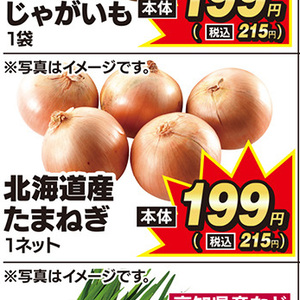 たまねぎ