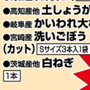 ながねぎ