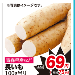 ながいも