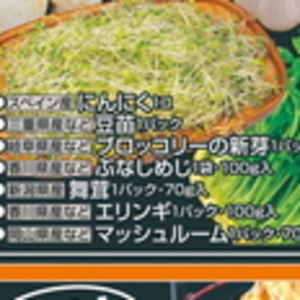 ブロッコリー
