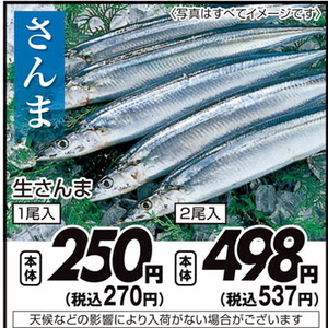 さんま