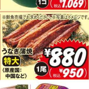 うなぎの蒲焼き