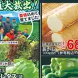 うなぎの蒲焼き