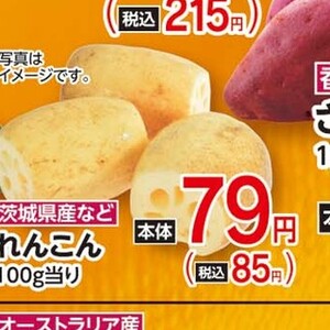 レンコン