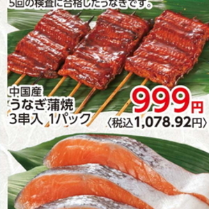 うなぎの蒲焼き