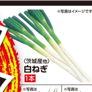 ながねぎ