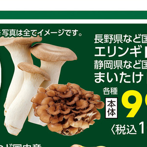 エリンギ