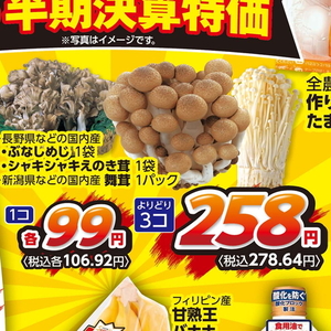 えのき茸
