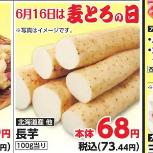 ながいも