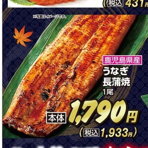 うなぎの蒲焼き