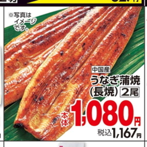 うなぎの蒲焼き