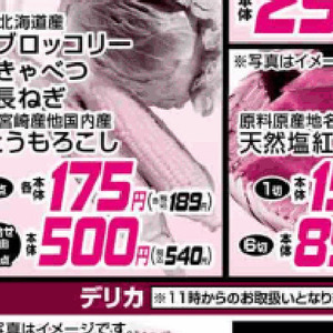 ながねぎ