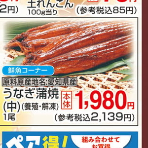 うなぎの蒲焼き