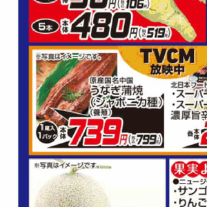 うなぎの蒲焼き