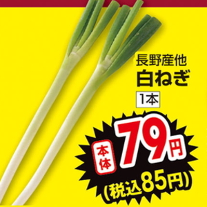 ながねぎ