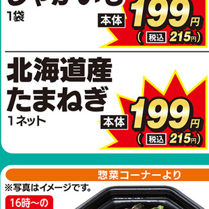 たまねぎ