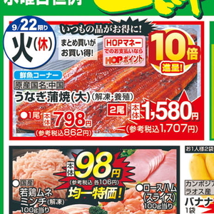うなぎの蒲焼き