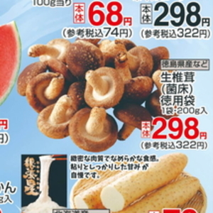 しいたけ