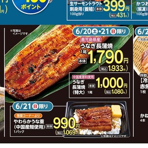 うなぎの蒲焼き
