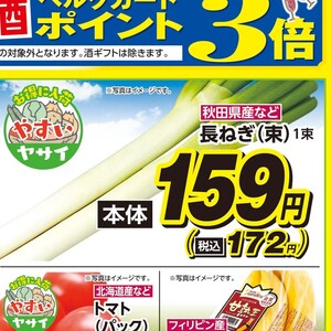 ながねぎ