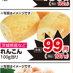 レンコン