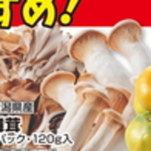 まいたけ