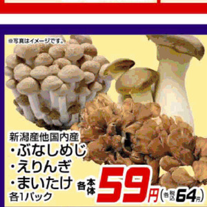 しめじ